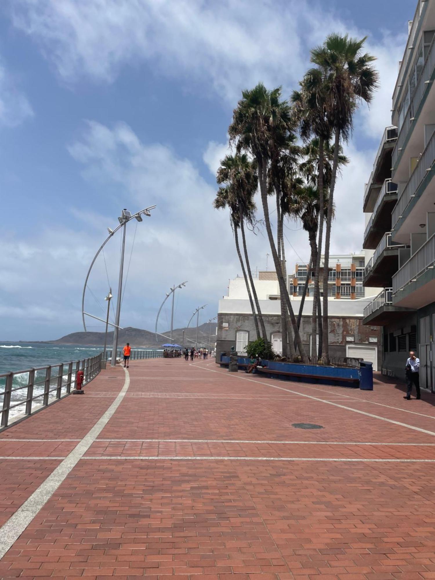 Coralcanteras Loft *